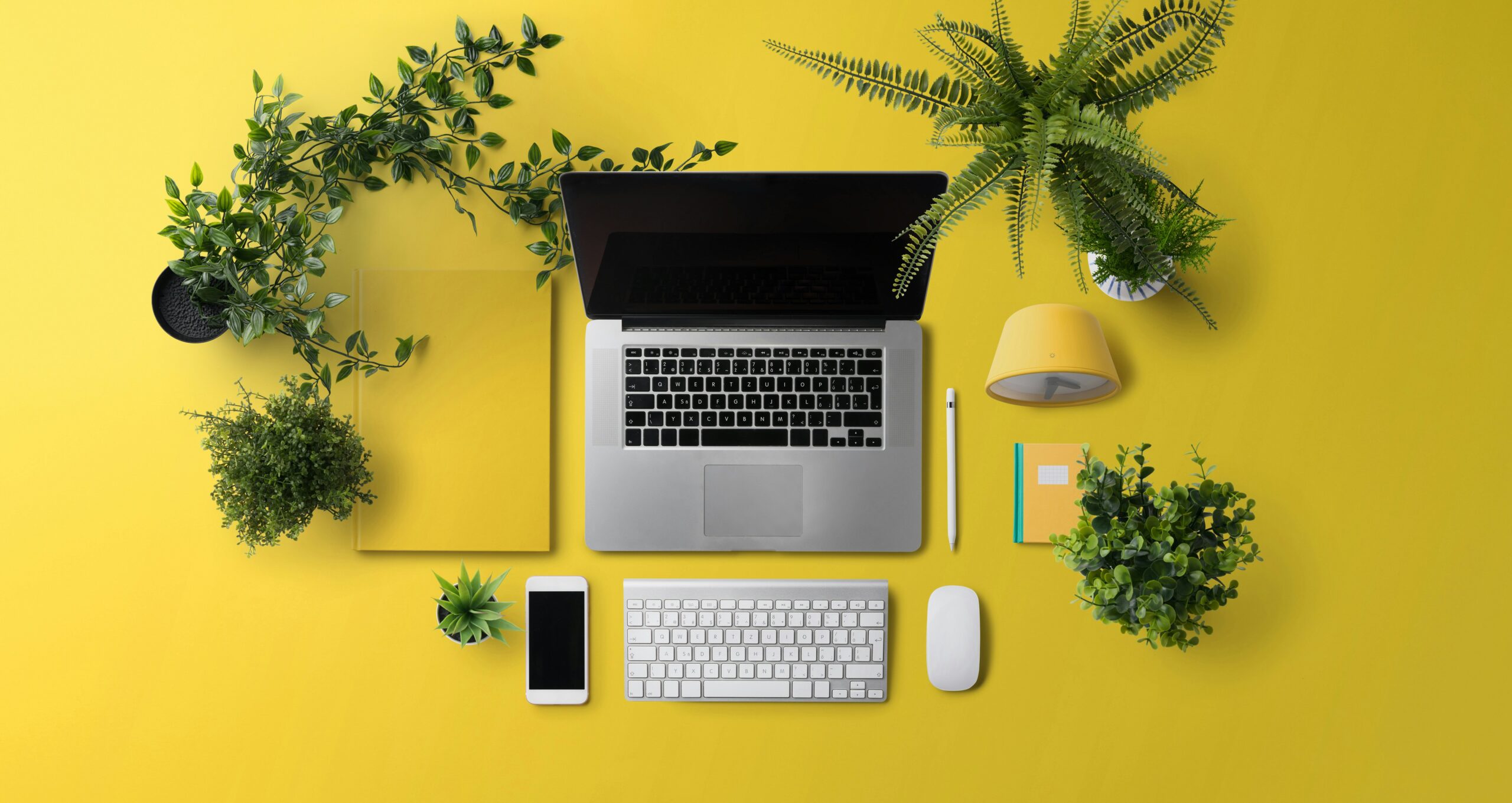 Eco-Friendly Gadgets: Bridging Sustainability and Technology